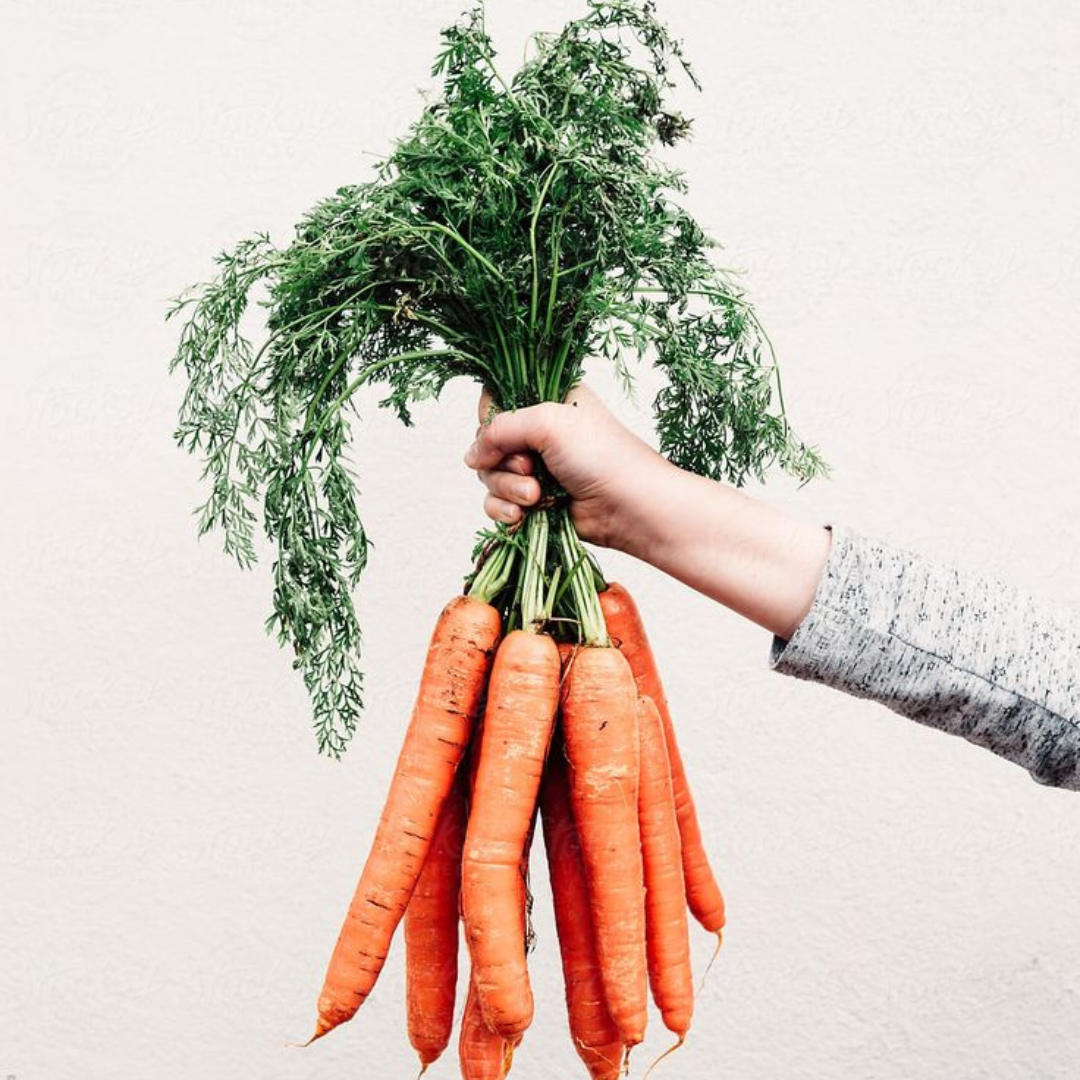 Carrots in Pregnancy: Benefits, Safety, and Delicious Recipes