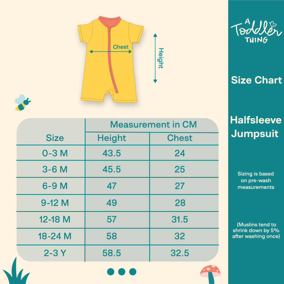Flying Blue - Half Sleeve Jumpsuit