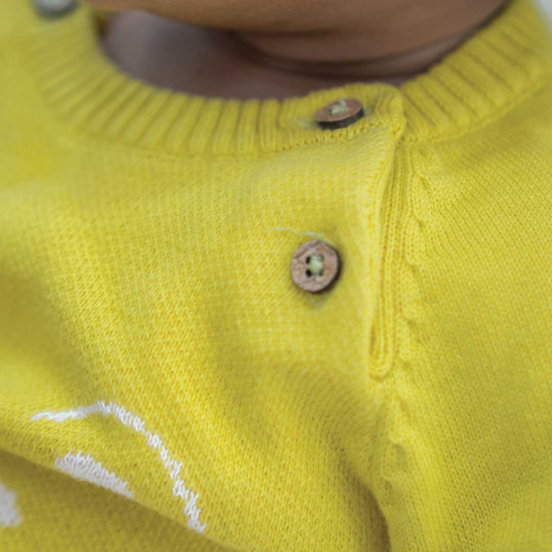 Sunny Bear - Full Sleeve Sweater