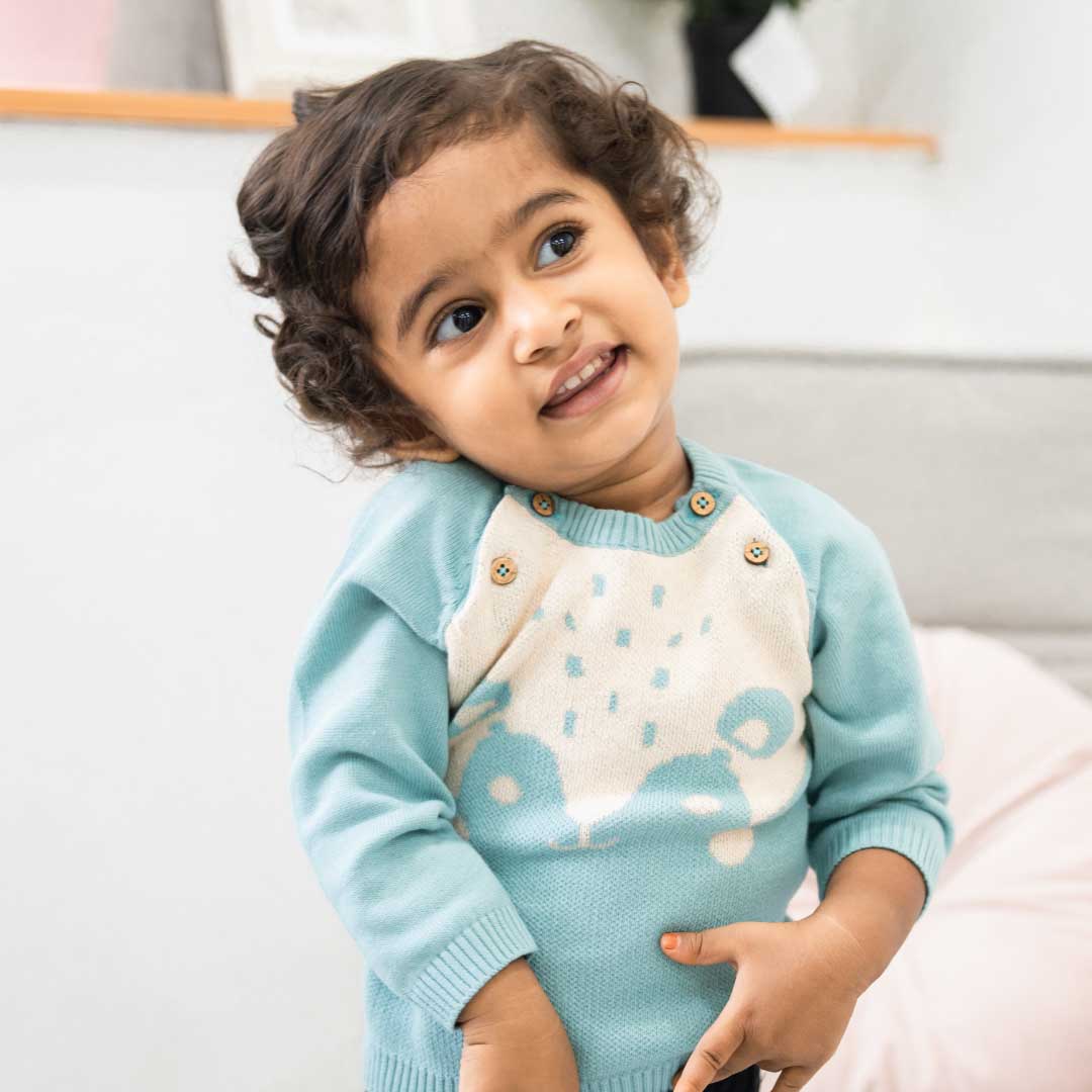 Baby Bear Hug Full Sleeve Sweater For Newborn