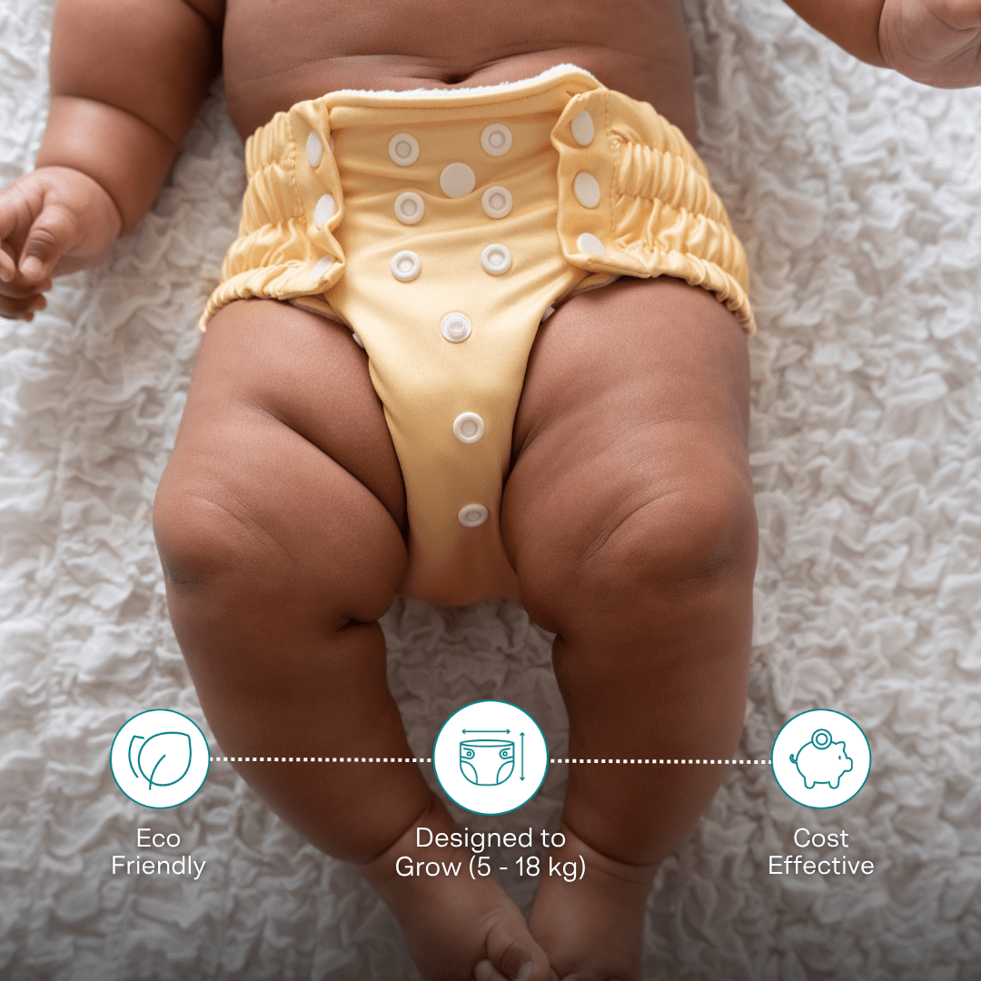Mauve & Blue - Ultra Diaper - Pack of 2
