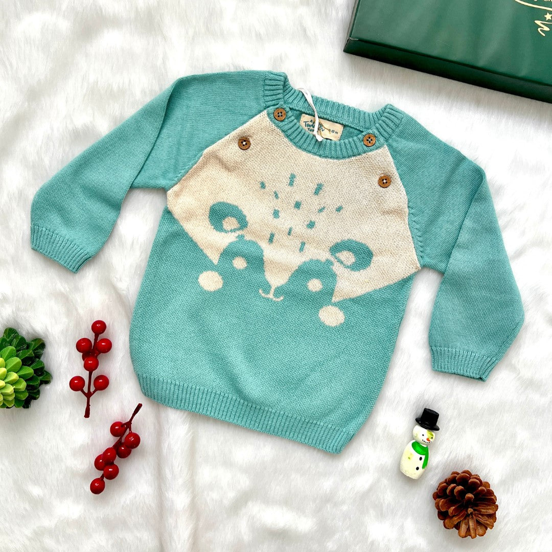 A Toddler Thing Full Sleeve Sweaters