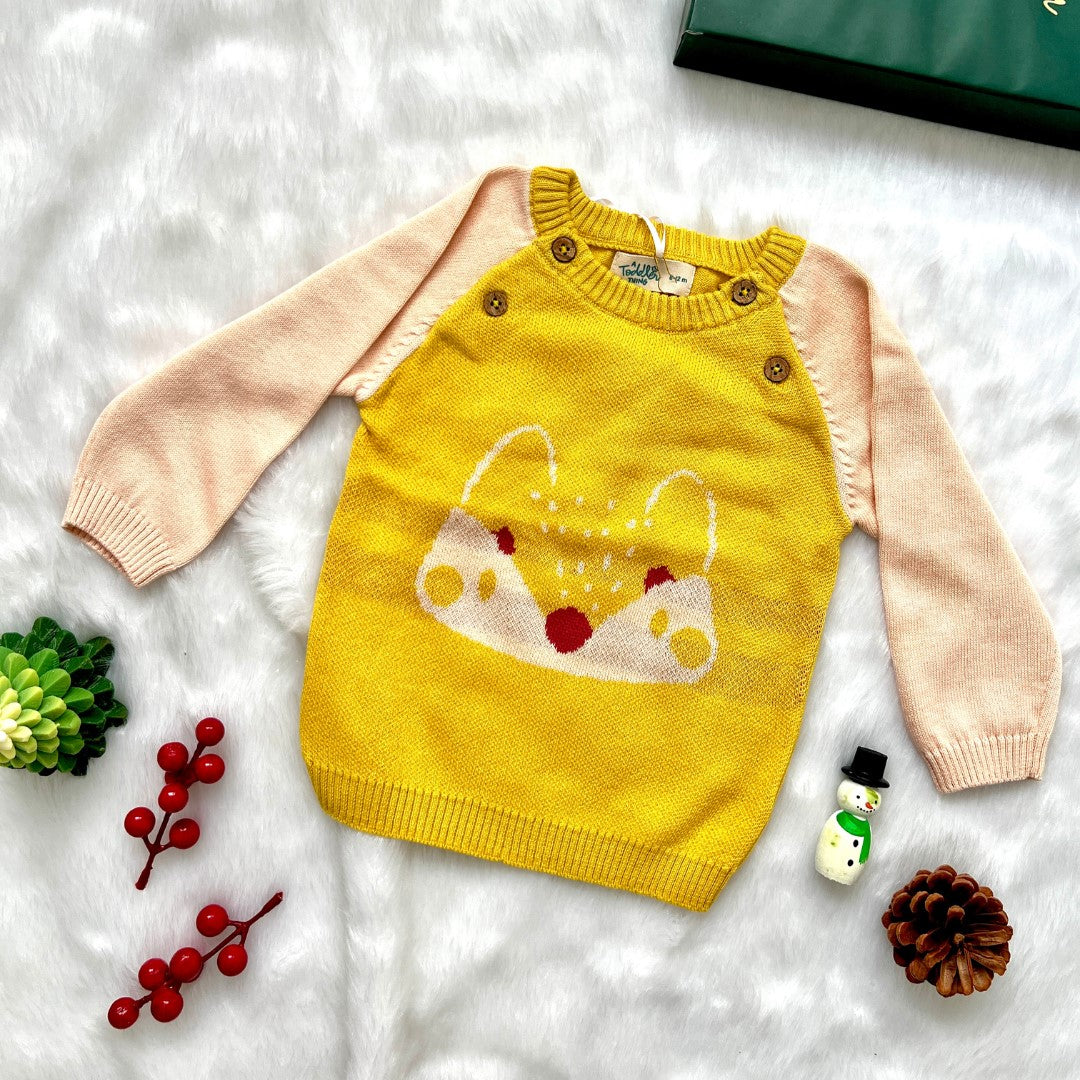 A Toddler Thing Full Sleeve Sweaters