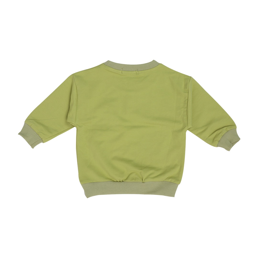 Smart Sage - Sweatshirts for kids