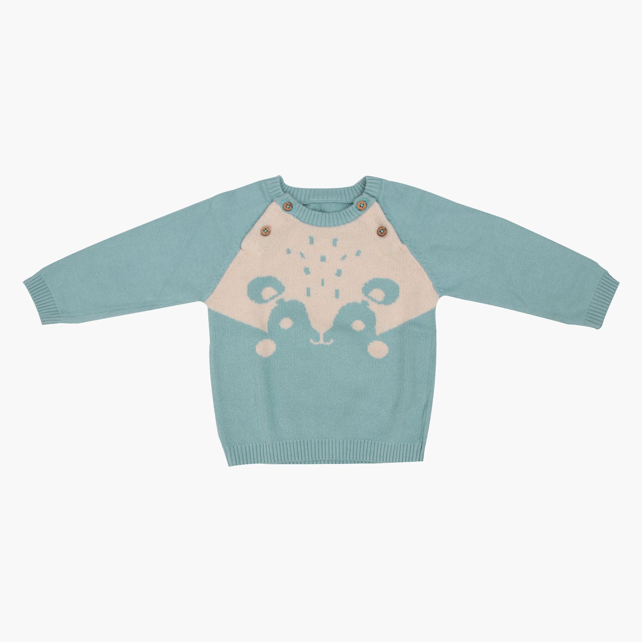 Babies Bear Hug Full Sleeve Sweater