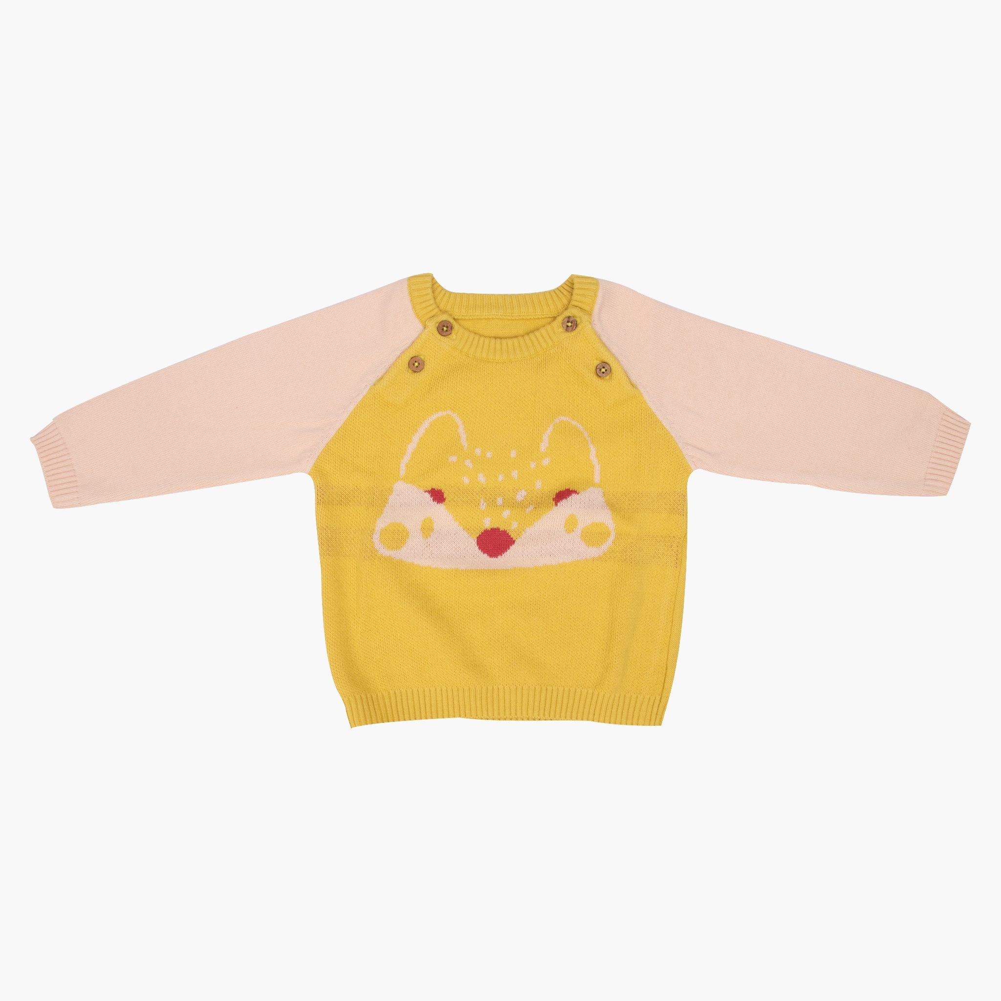 Newborn Sunny Fox Full Sleeve Sweater