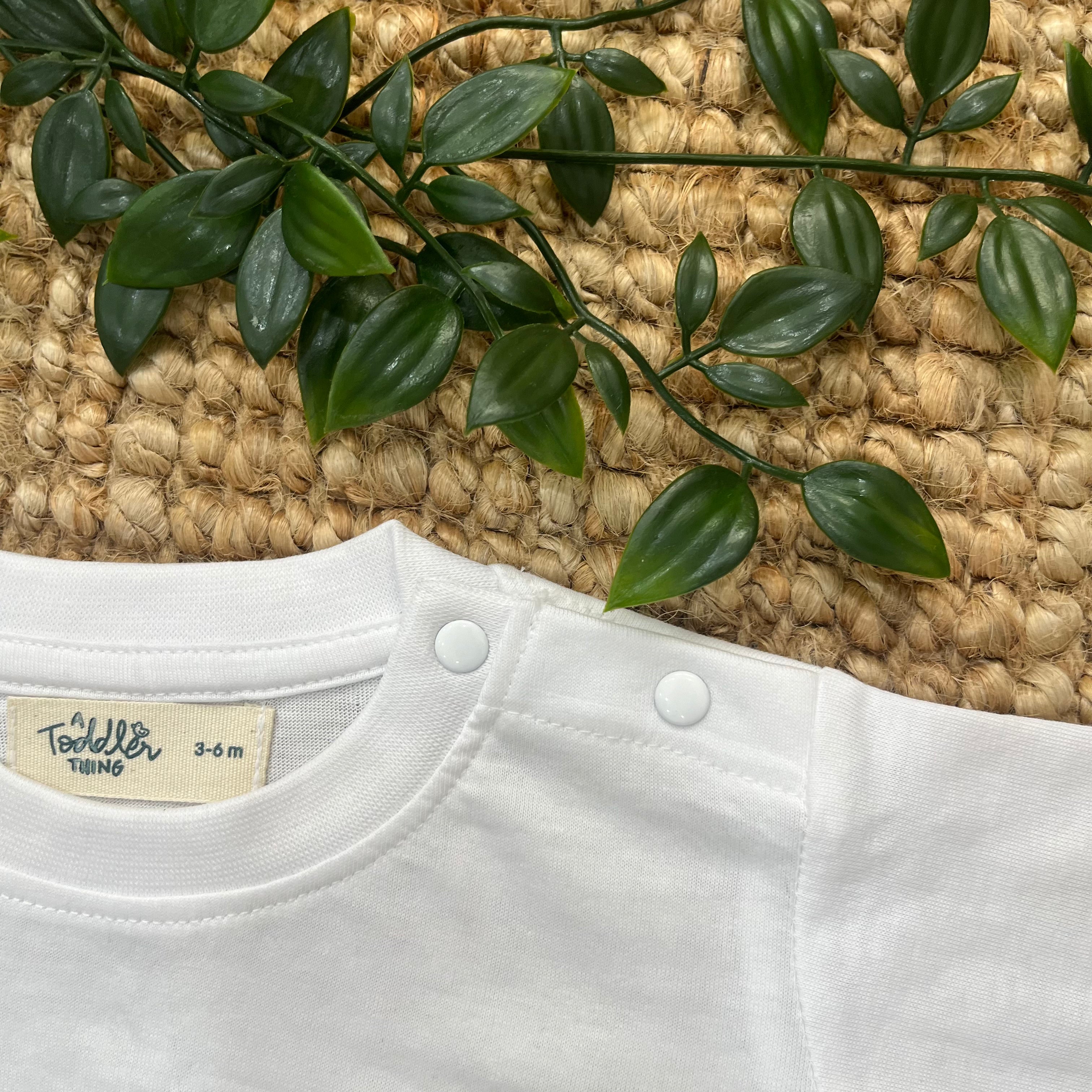 Tutti Frutti - Seersucker T-Shirt & Shorts for Girls