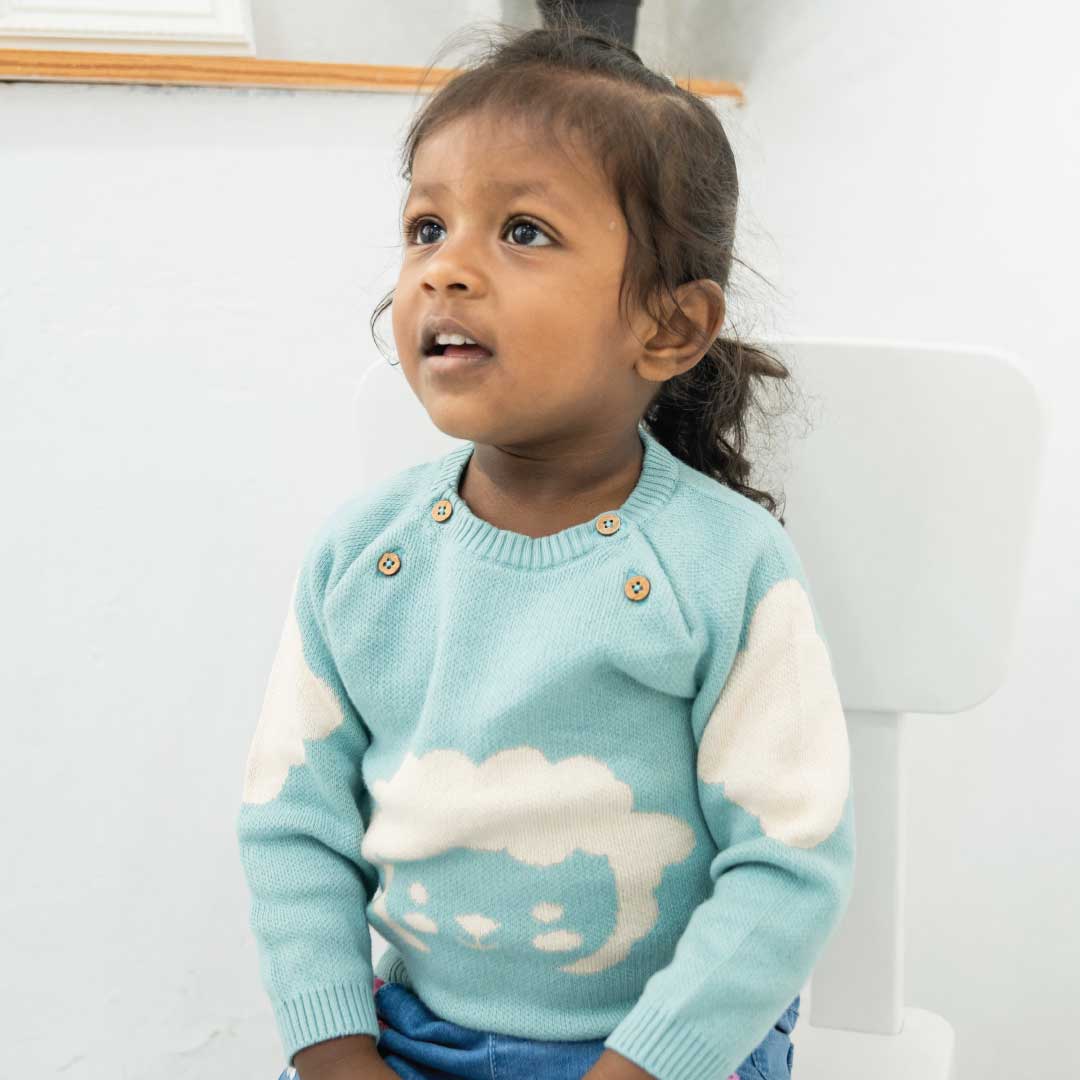 A Toddler Thing Full Sleeve Sweaters