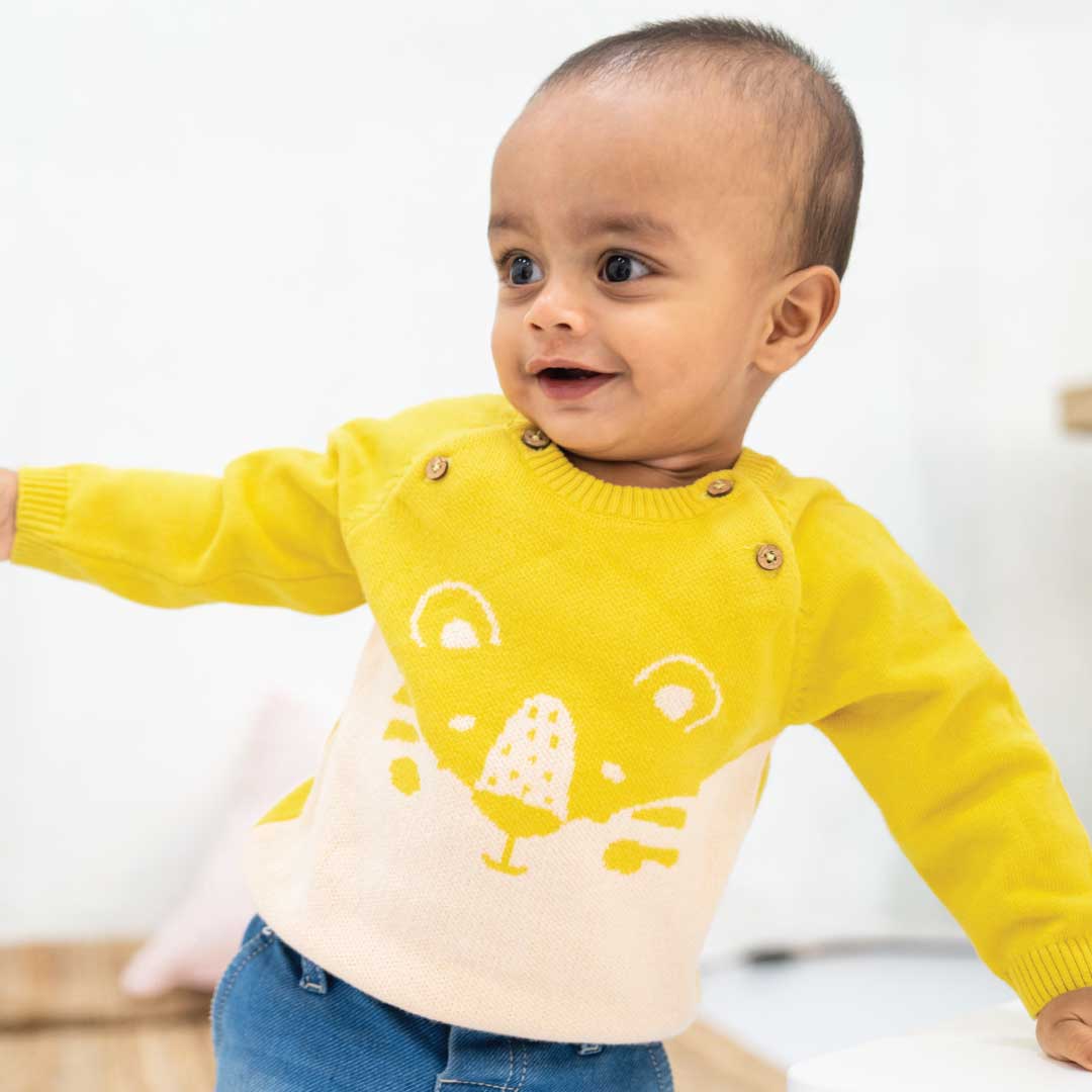 A Toddler Thing Full Sleeve Sweaters