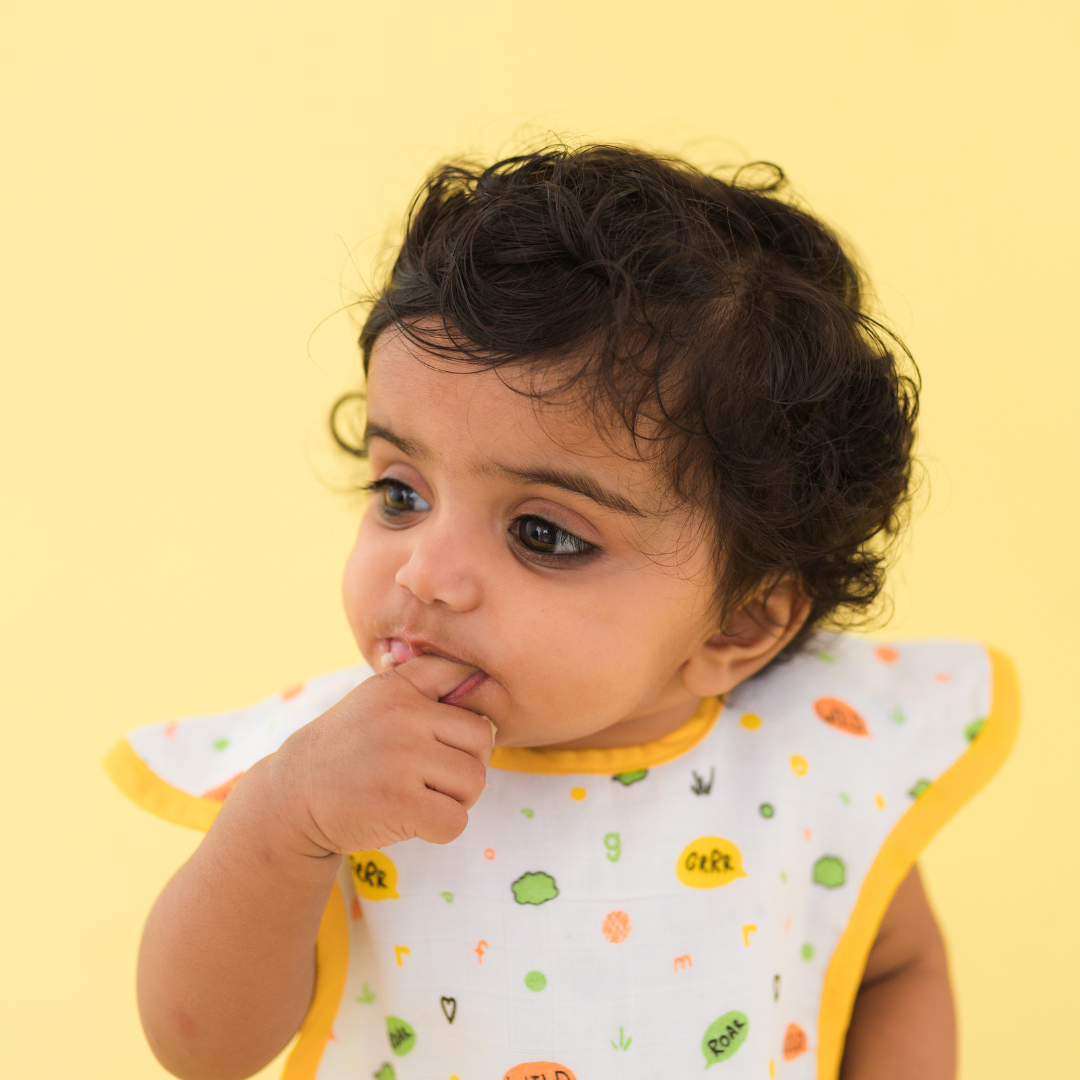 How Important are Bibs for a Baby
