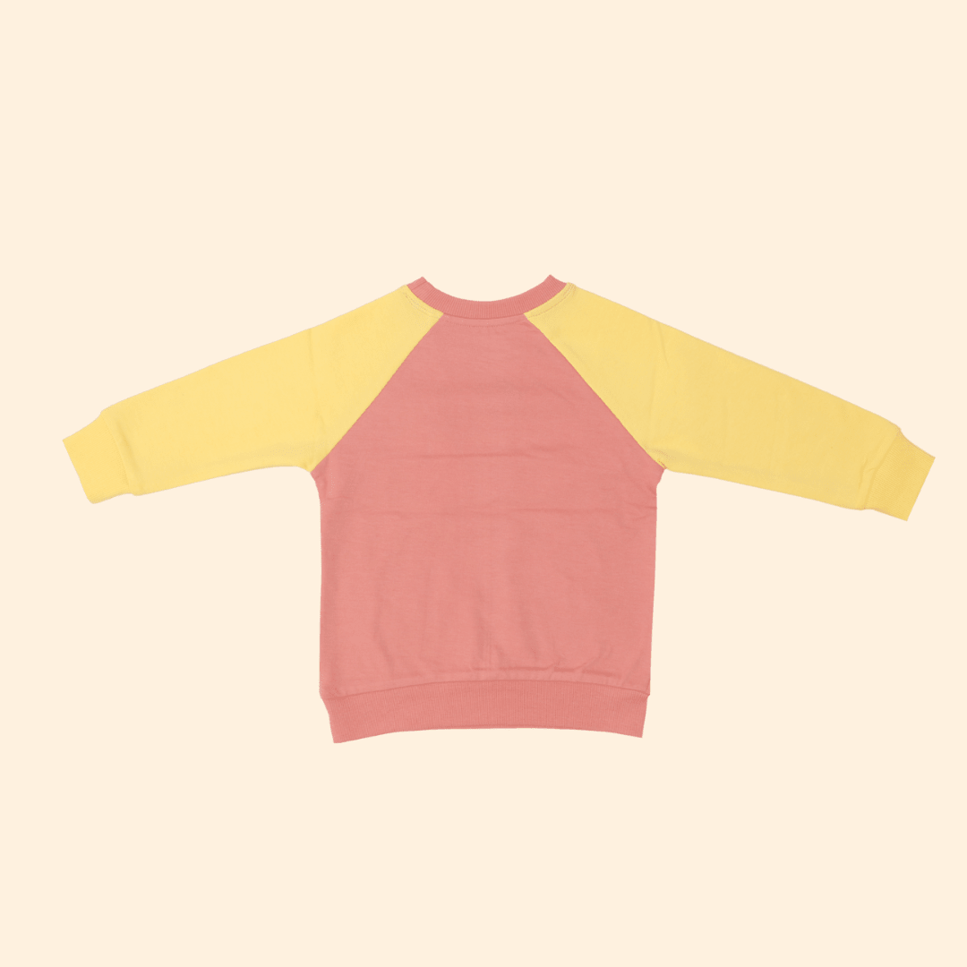 Dino Pals - Sweatshirts for kids