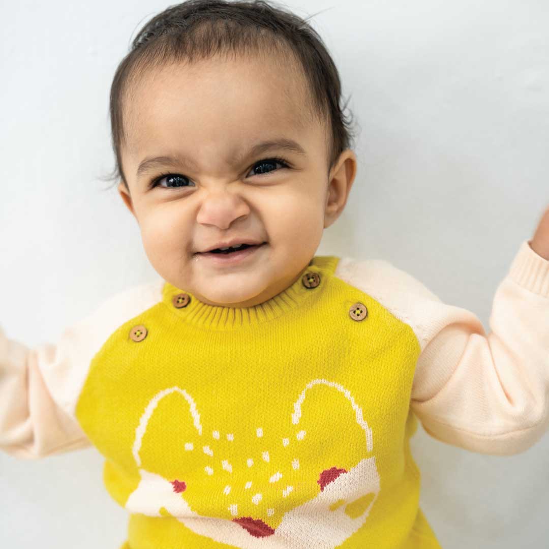 Sunny Fox  Full Sleeve Sweater 