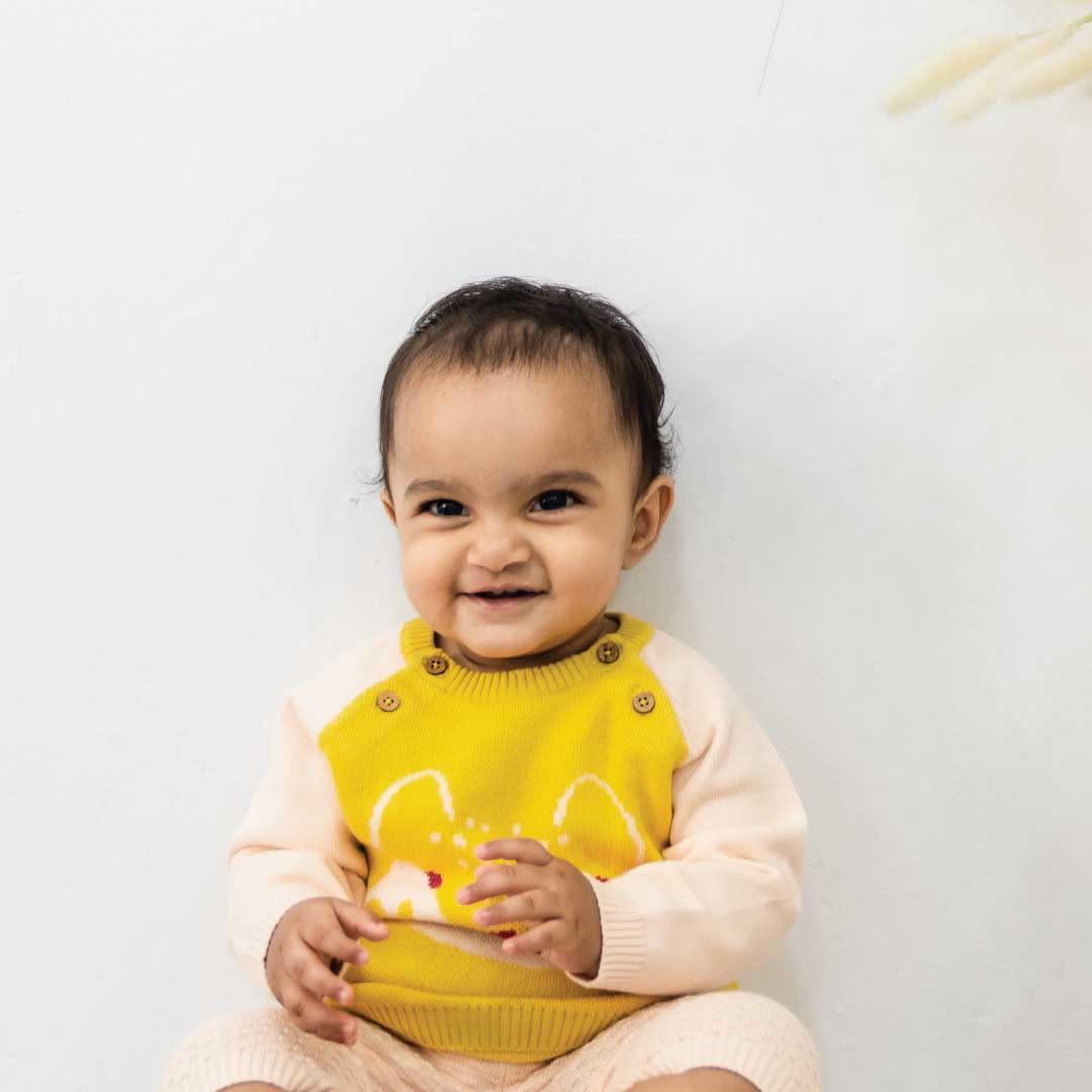 Sunny Fox  Full Sleeve Sweater For Newborn 