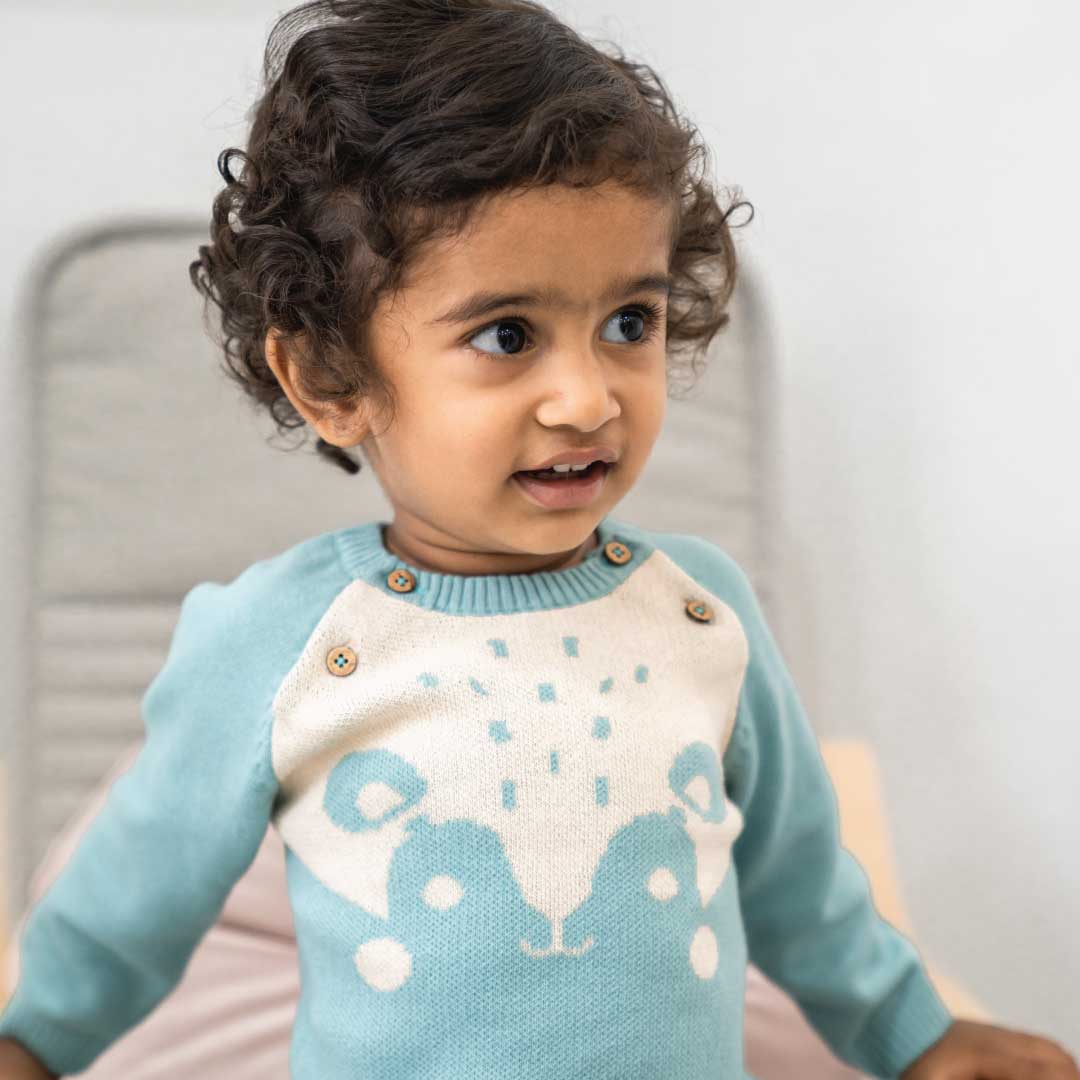 Baby Bear Hug  Full Sleeve Sweater 