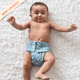 Dusty Blue - Ultra Diaper (Pull-Up Style)