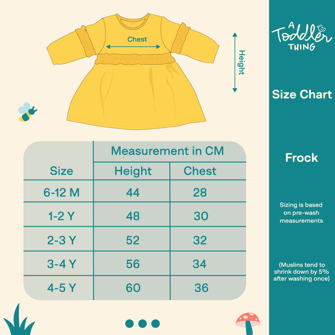 6 Month to 5 years Minty Charm Full Sleeve Muslin Frock