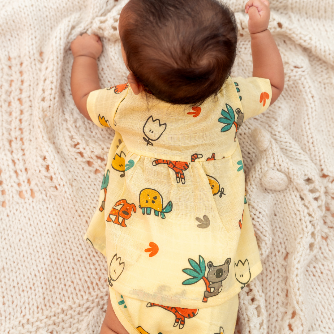 Flutter Tales - Muslin Button Frock - Pack of 2
