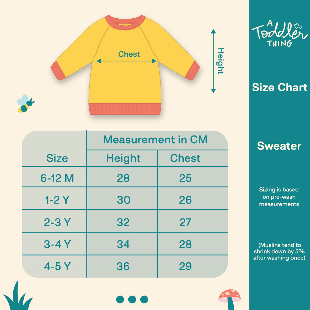 Merry Bear Full Sleeve Sweater - Pack of 2