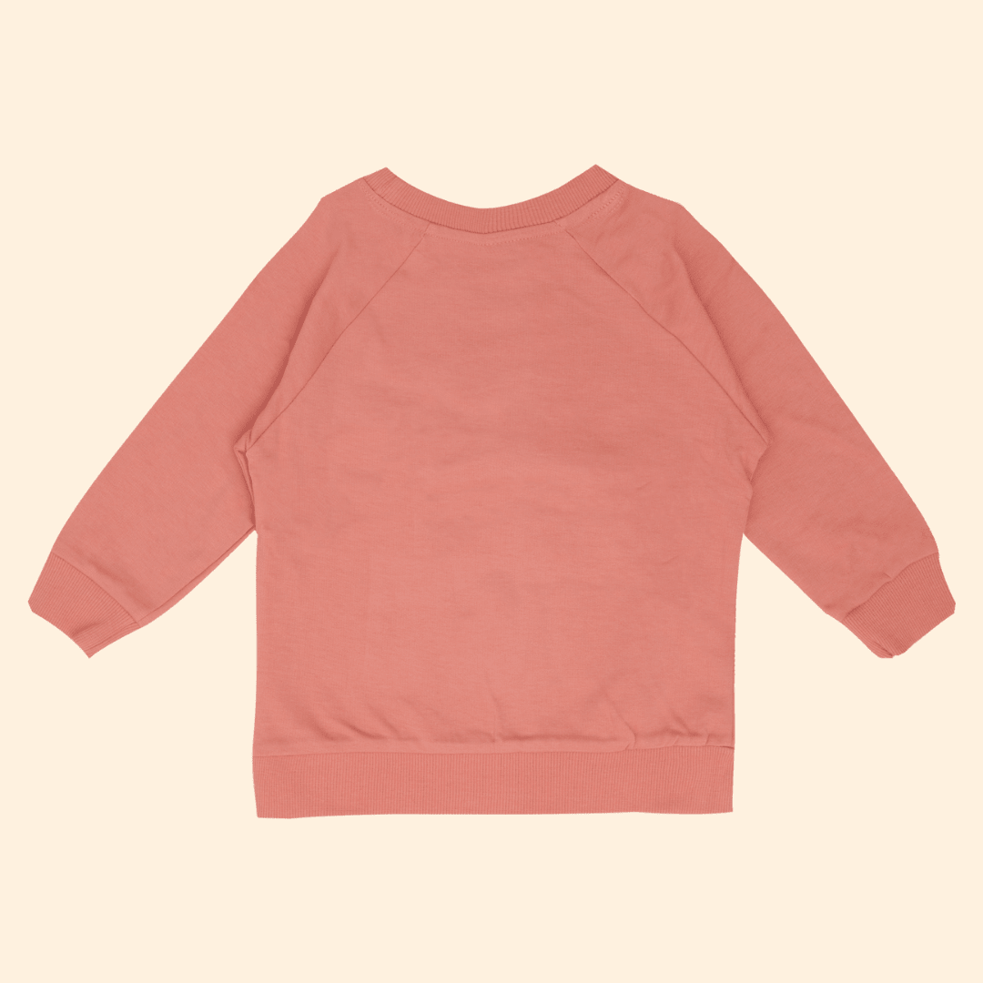 Dino Pals - Sweatshirts for kids