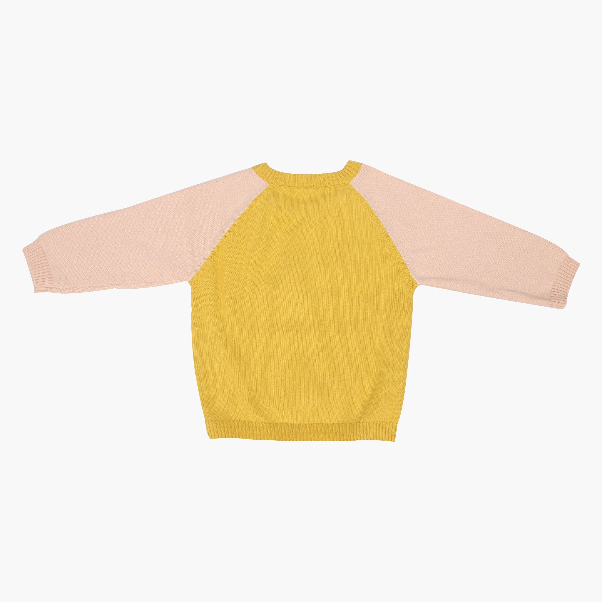 Baby Sunny Fox  Full Sleeve Sweater 