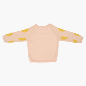 Baby Gentle Giraffe Full Sleeve Sweater