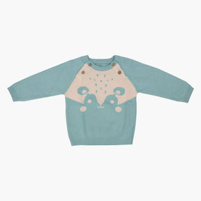 Babies  Bear Hug  Full Sleeve Sweater 