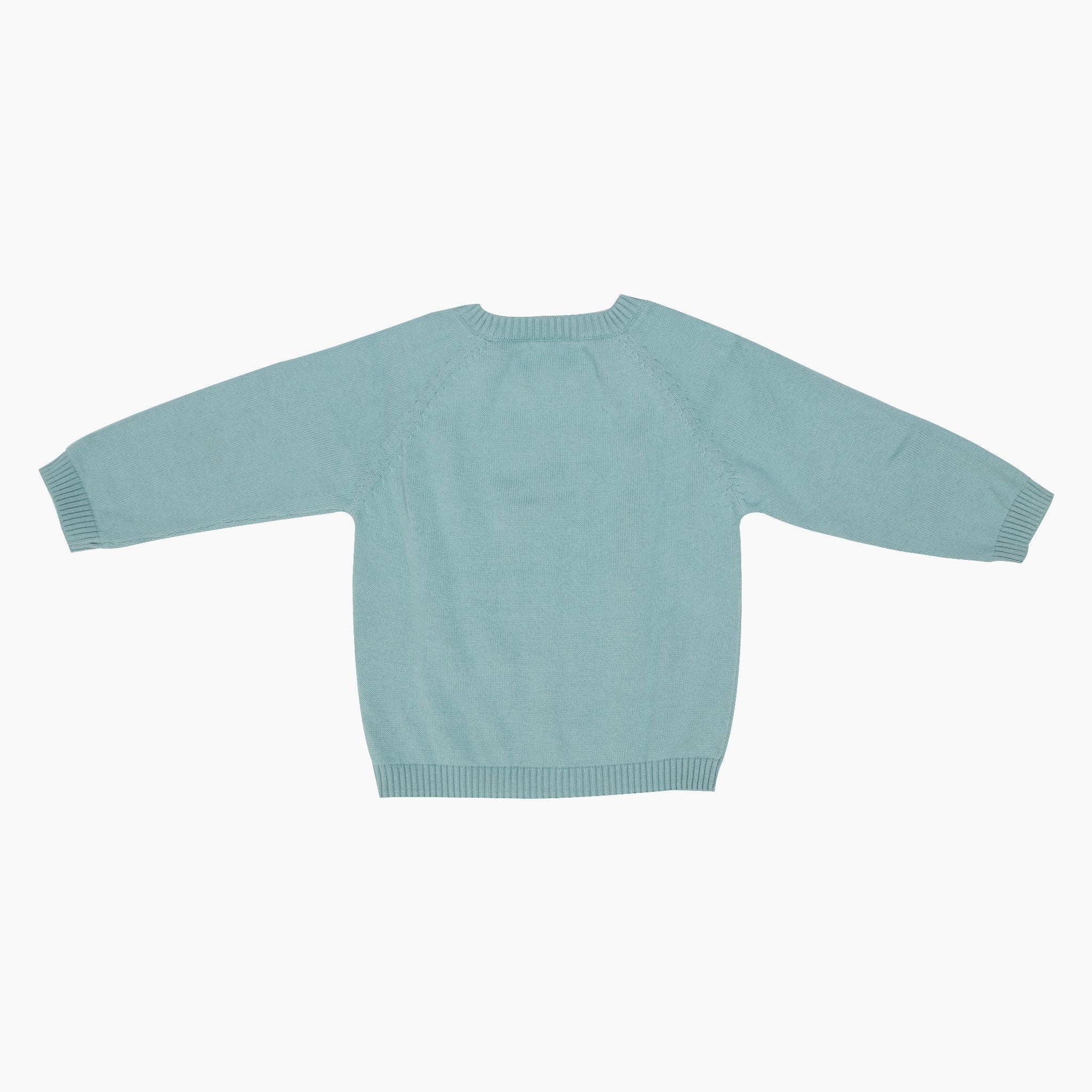 Baby Bear Hug - Full Sleeve Sweater