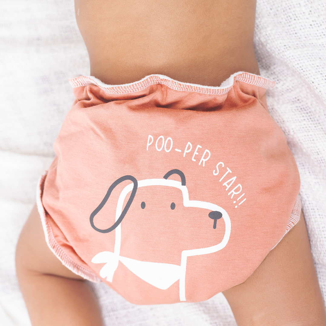 Little Roar Stories - Ultra Nappies 2.0 (Pack of 3)