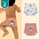 Grey Stripes - Ultra Undies 2.0 - Pack of 2