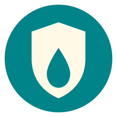 USP Icon
