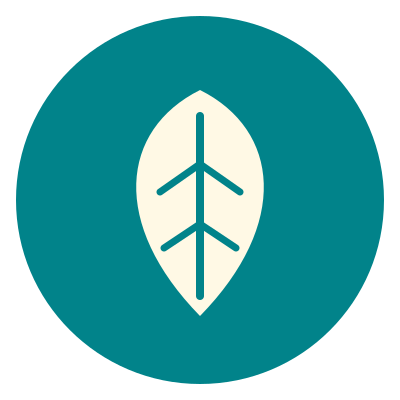 USP Icon