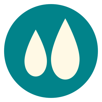 USP Icon